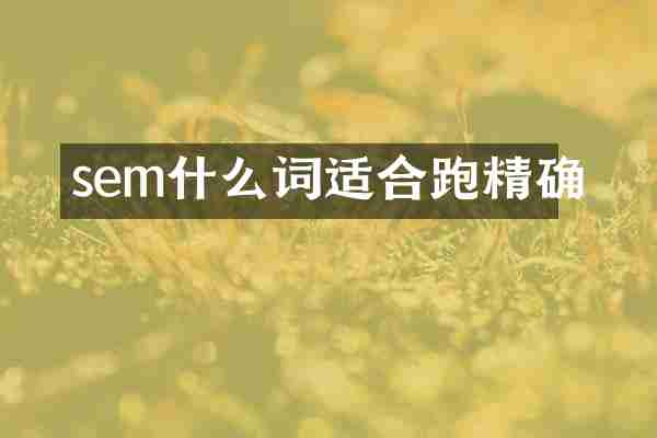 sem什么词适合跑精确