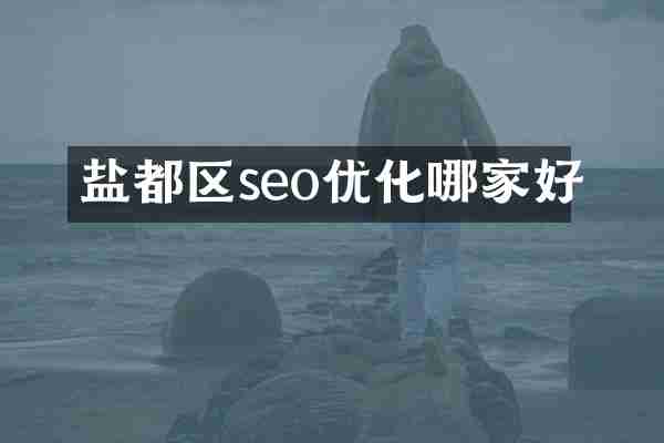 盐都区seo优化哪家好