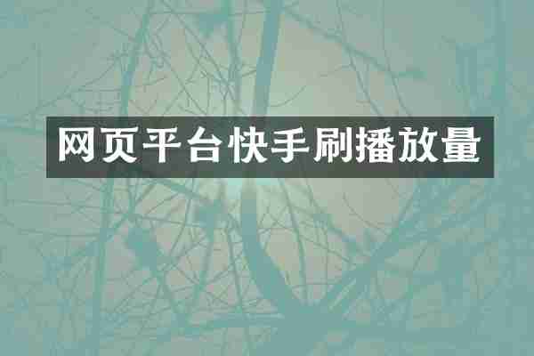 网页平台快手刷播放量