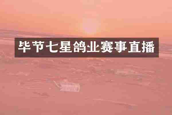 毕节七星鸽业赛事直播