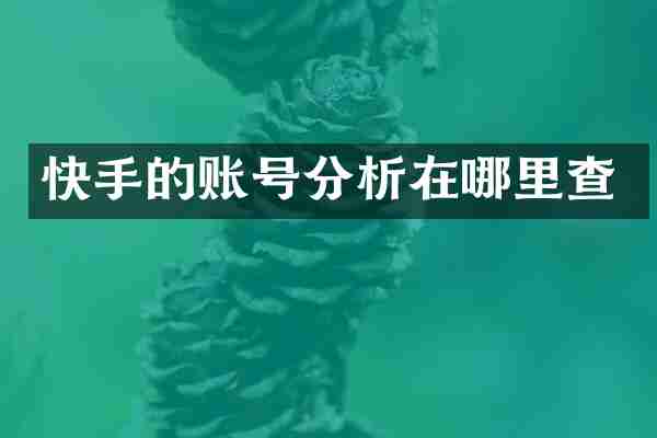 快手的账号分析在哪里查