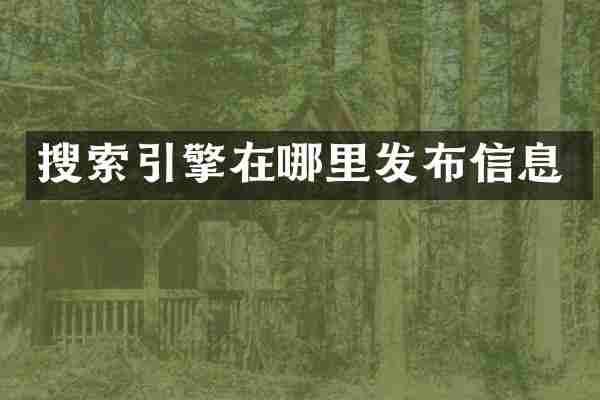 搜索引擎在哪里发布信息