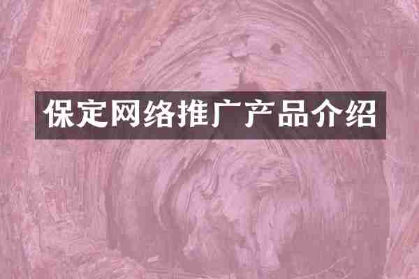 保定网络推广产品介绍