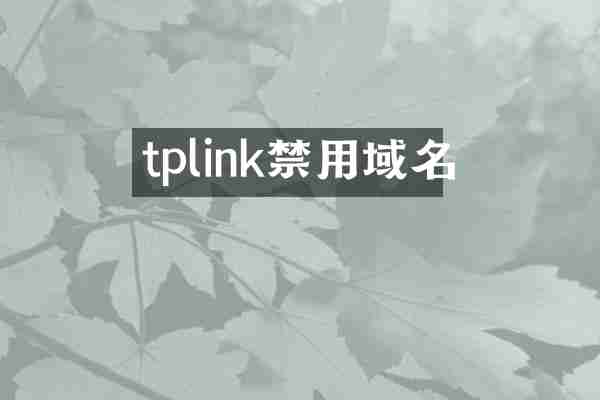 tplink禁用域名
