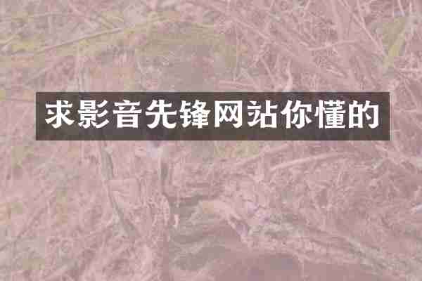 求影音先锋网站你懂的