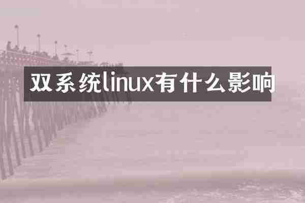双系统linux有什么影响