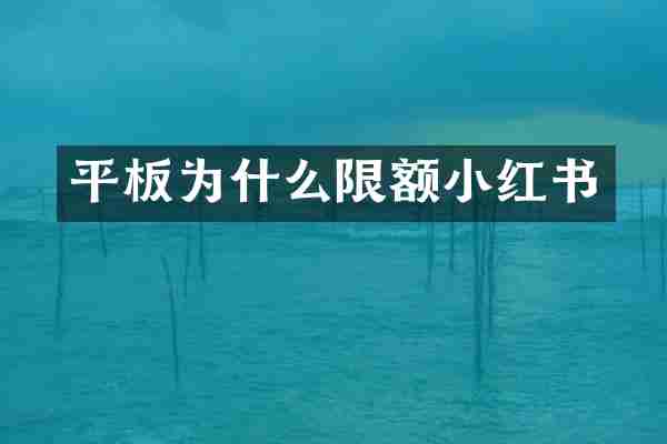 平板为什么限额小红书