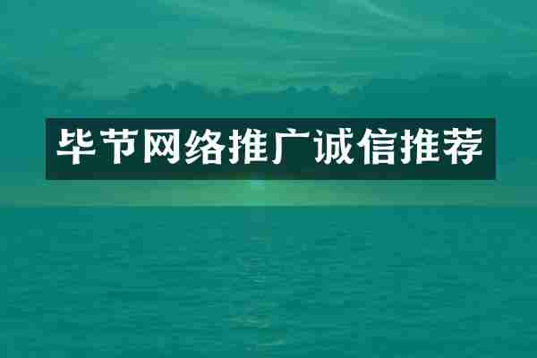 毕节网络推广诚信推荐