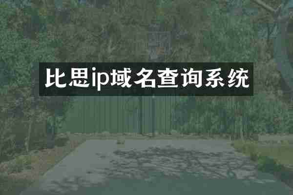 比思ip域名查询系统