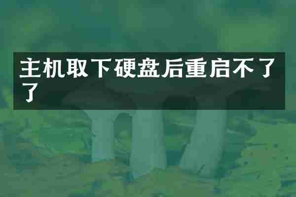 主机取下硬盘后重启不了了