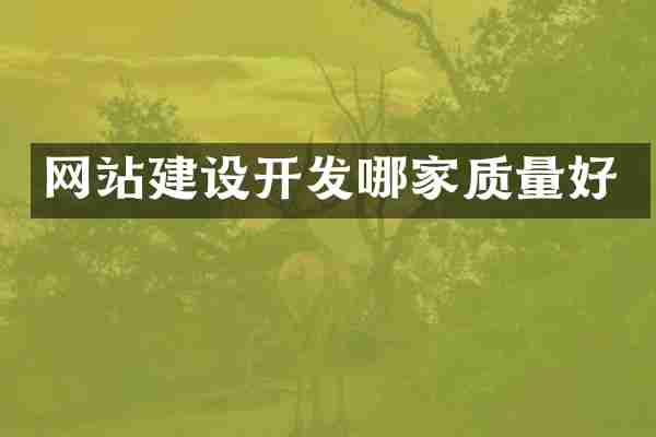 网站建设开发哪家质量好