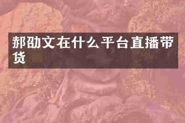 郝劭文在什么平台直播带货