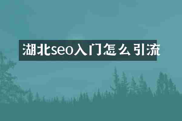 湖北seo入门怎么引流
