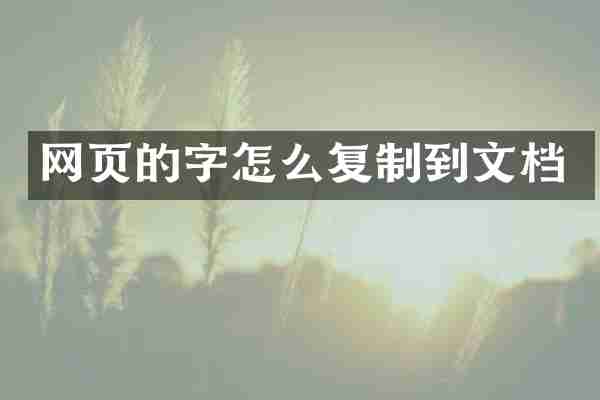网页的字怎么复制到文档