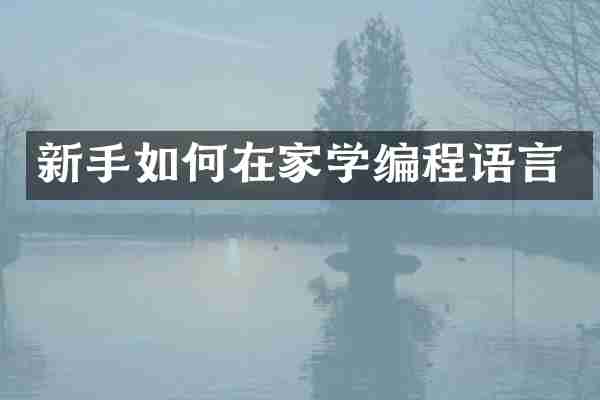 新手如何在家学编程语言