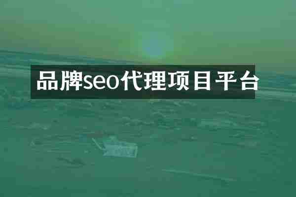 品牌seo代理项目平台