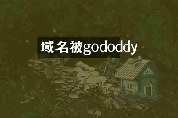 域名被gododdy