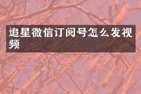 追星微信订阅号怎么发视频