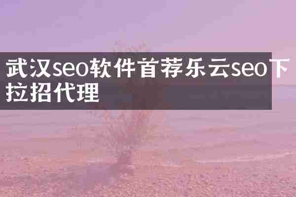 武汉seo软件首荐乐云seo下拉招代理