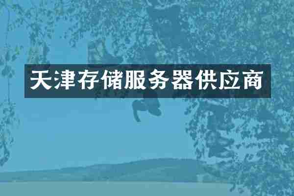 天津存储服务器供应商