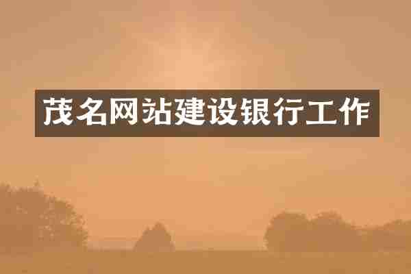 茂名网站建设银行工作