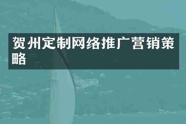 贺州定制网络推广营销策略