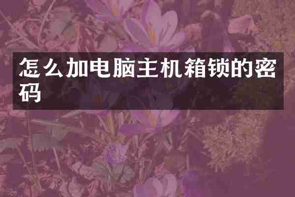 怎么加电脑主机箱锁的密码