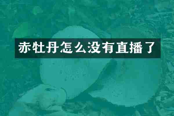 赤牡丹怎么没有直播了