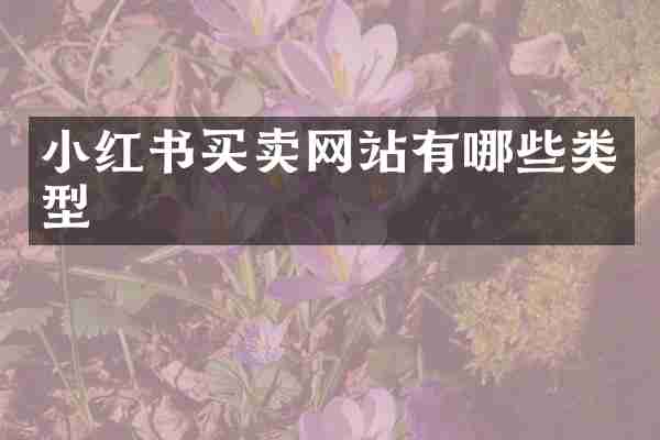 小红书买卖网站有哪些类型