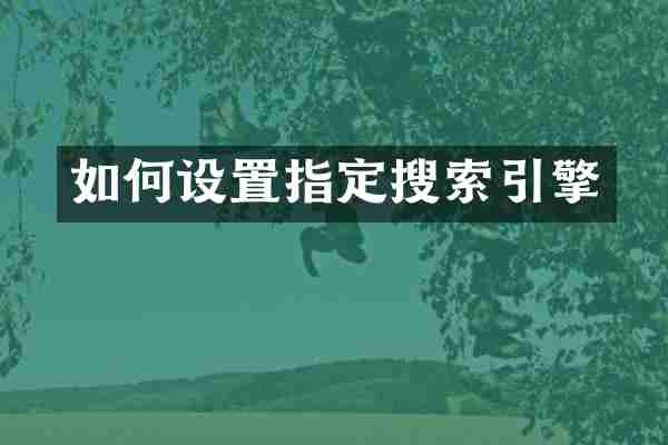 如何设置指定搜索引擎