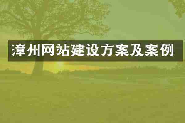漳州网站建设方案及案例