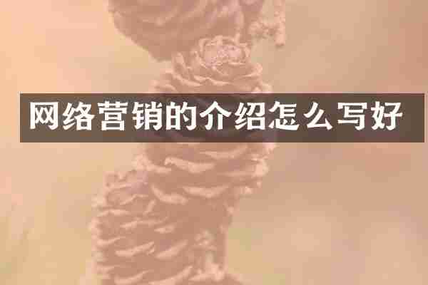 网络营销的介绍怎么写好