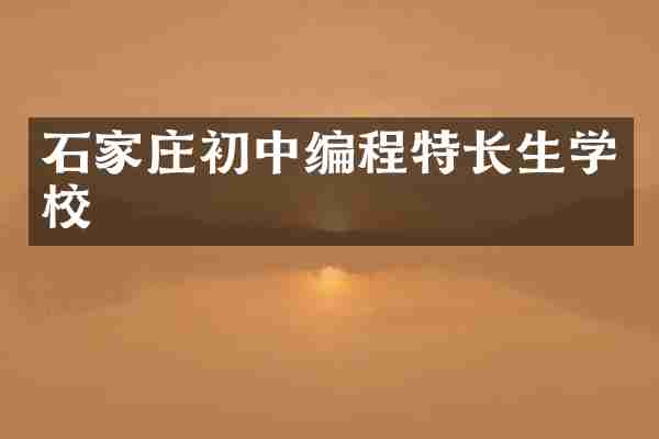 石家庄初中编程特长生学校