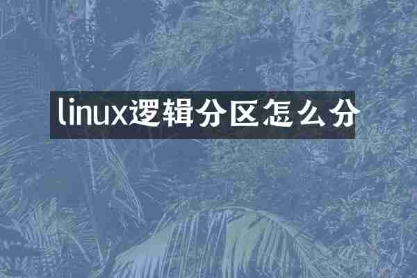 linux逻辑分区怎么分