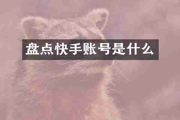 盘点快手账号是什么