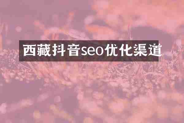 西藏抖音seo优化渠道