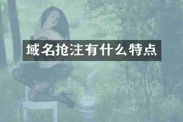 域名抢注有什么特点