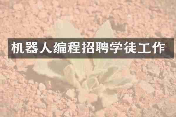 机器人编程招聘学徒工作