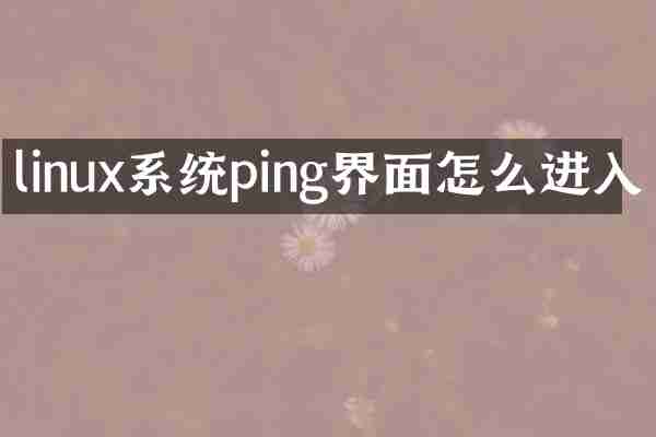 linux系统ping界面怎么进入