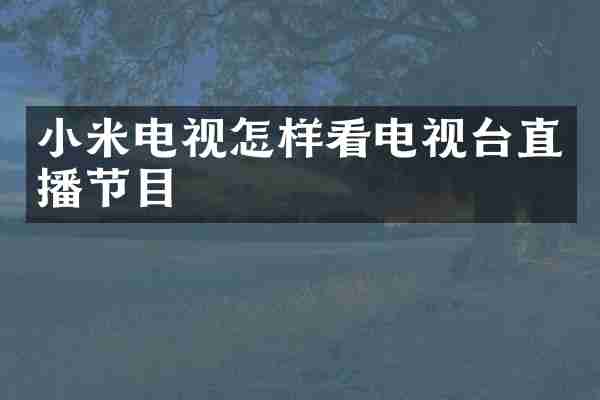 小米电视怎样看电视台直播节目