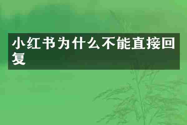 小红书为什么不能直接回复