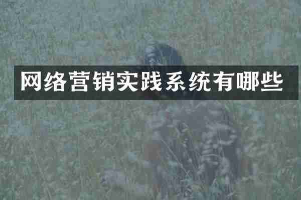 网络营销实践系统有哪些