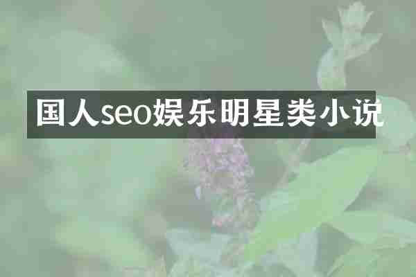 国人seo娱乐明星类小说
