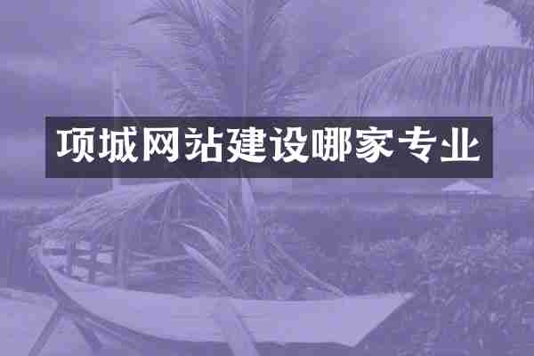 项城网站建设哪家专业