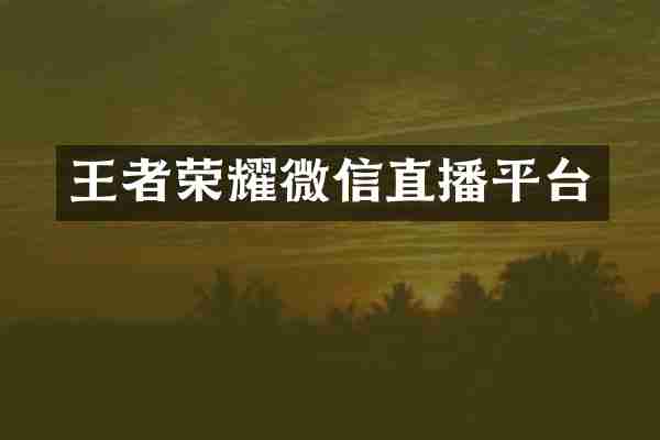 王者荣耀微信直播平台