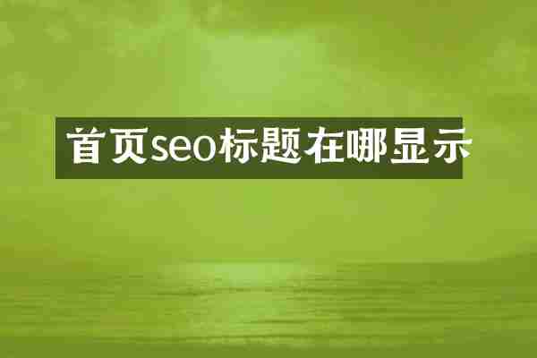 首页seo标题在哪显示