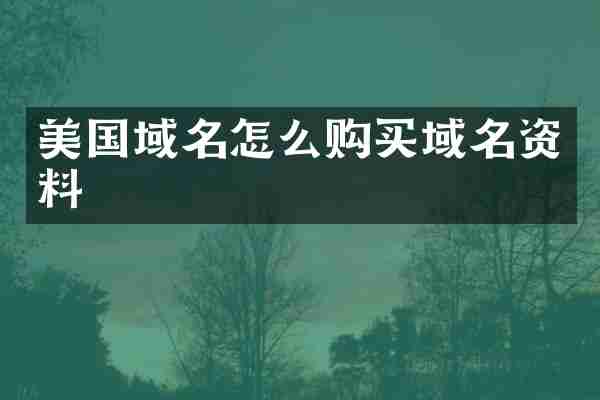 美国域名怎么购买域名资料