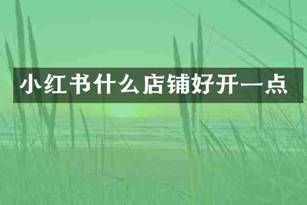 小红书什么店铺好开一点