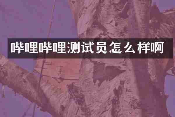 哔哩哔哩测试员怎么样啊
