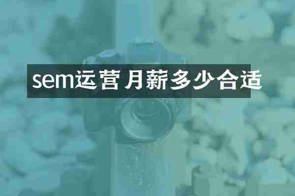 sem运营月薪多少合适